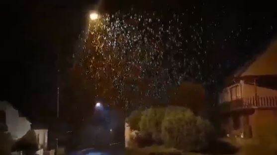 snijeg - gorski kotar