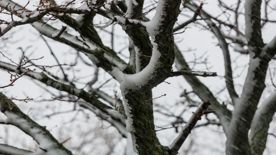 snijeg_mosor8-050415