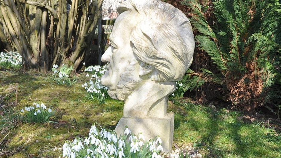 snowdrop-1269412_1280