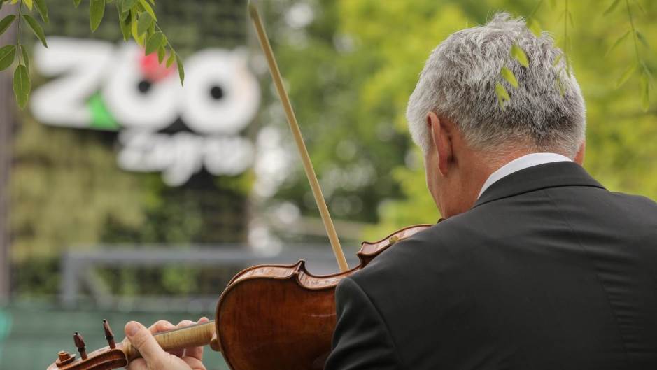 Tomislav Miletic/PIXSELL