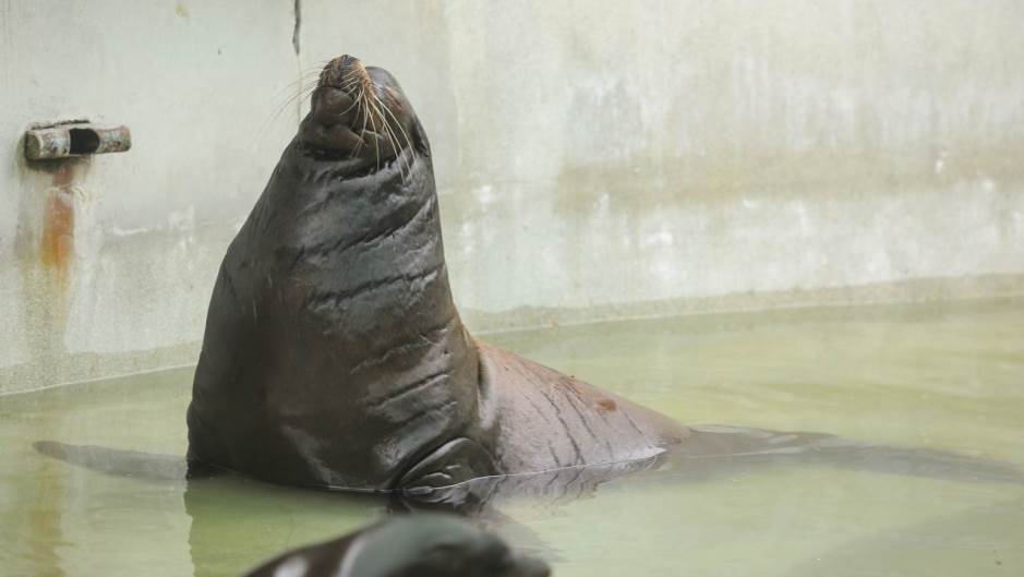 Tomislav Miletic/PIXSELL