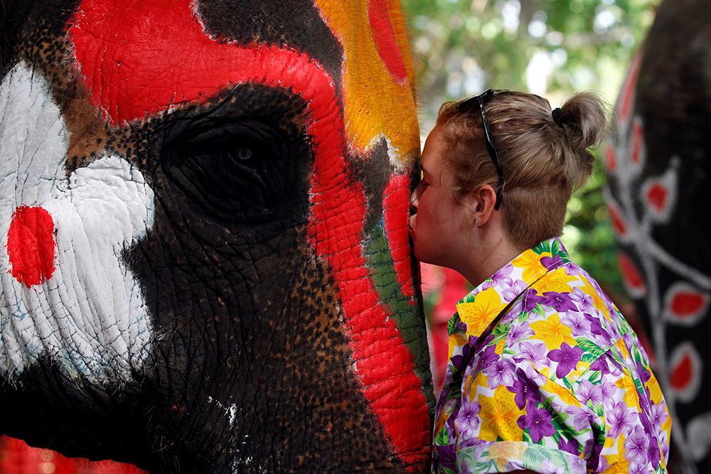 Songkran festival  (9)