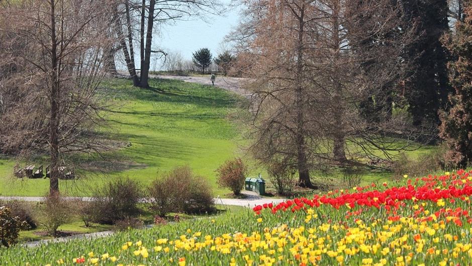 spring-87014_960_720