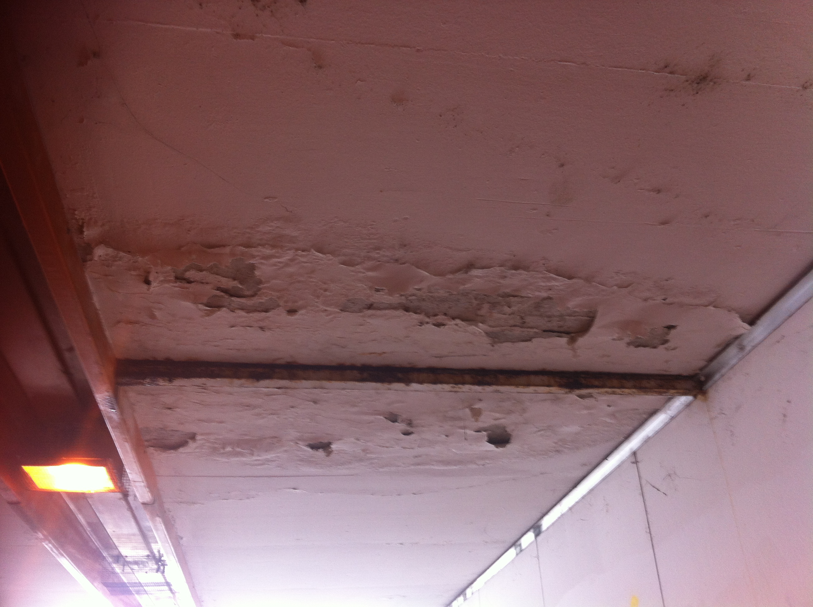 Andreja Žapčić / N1