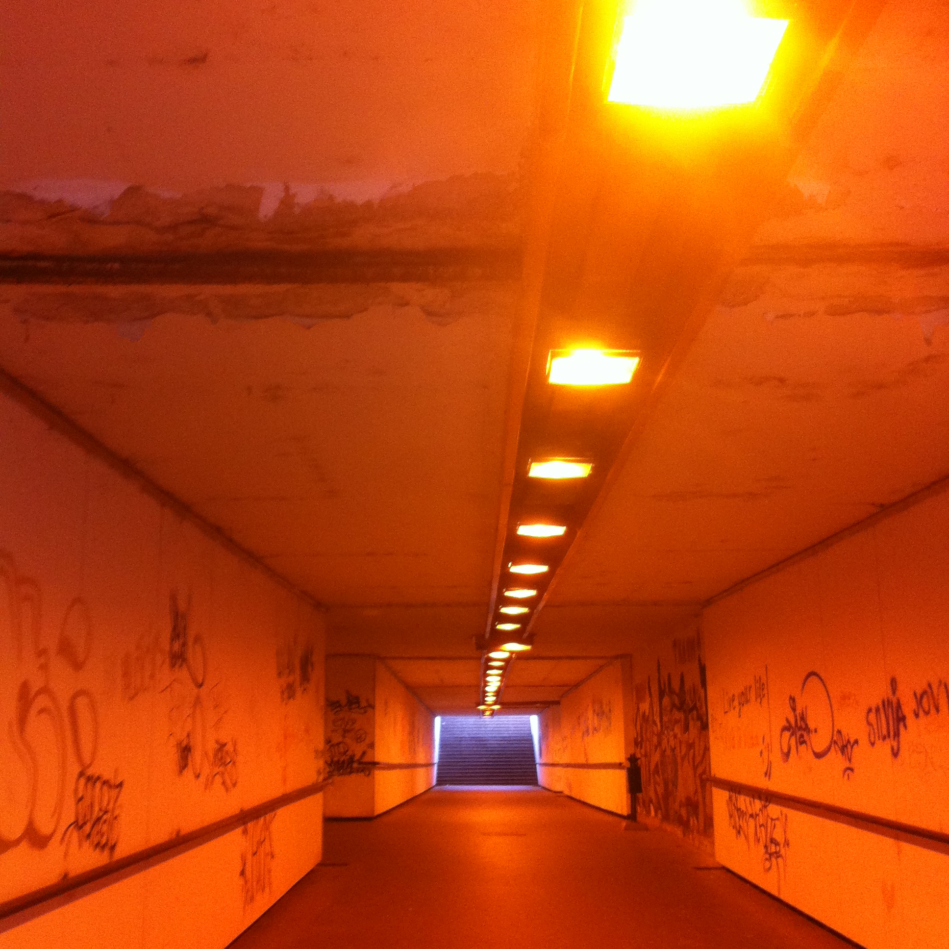 Andreja Žapčić / N1