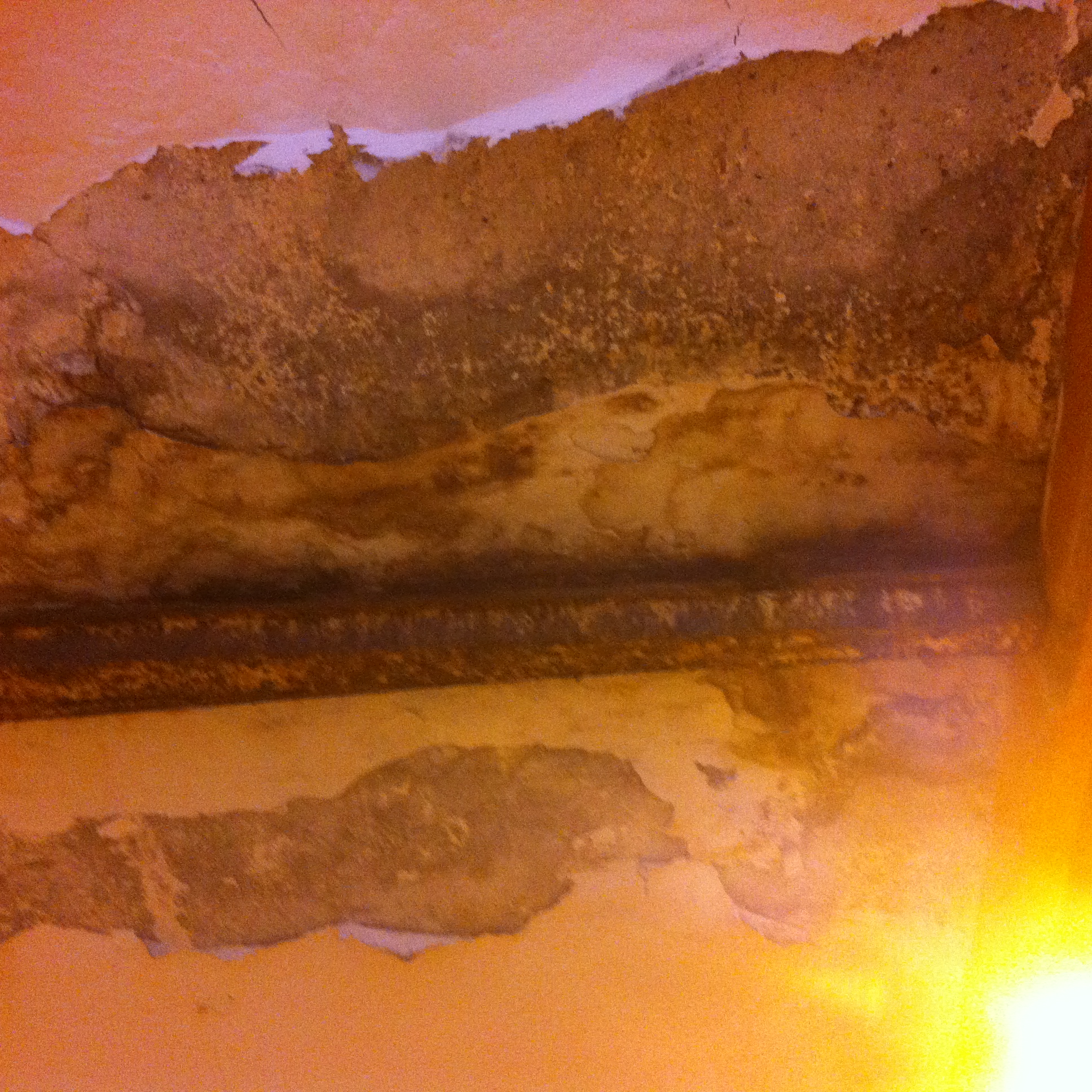 Andreja Žapčić / N1