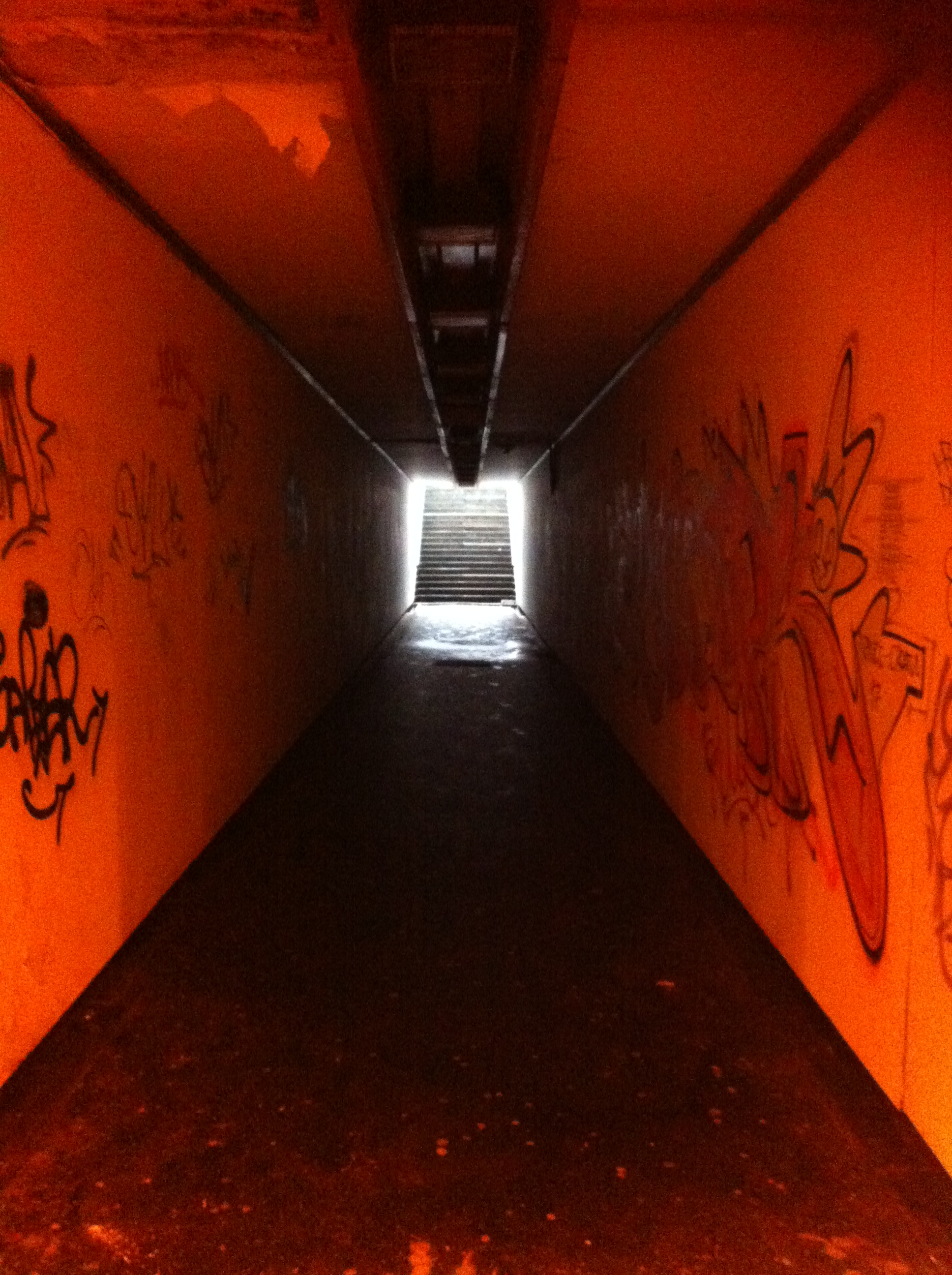 Andreja Žapčić / N1