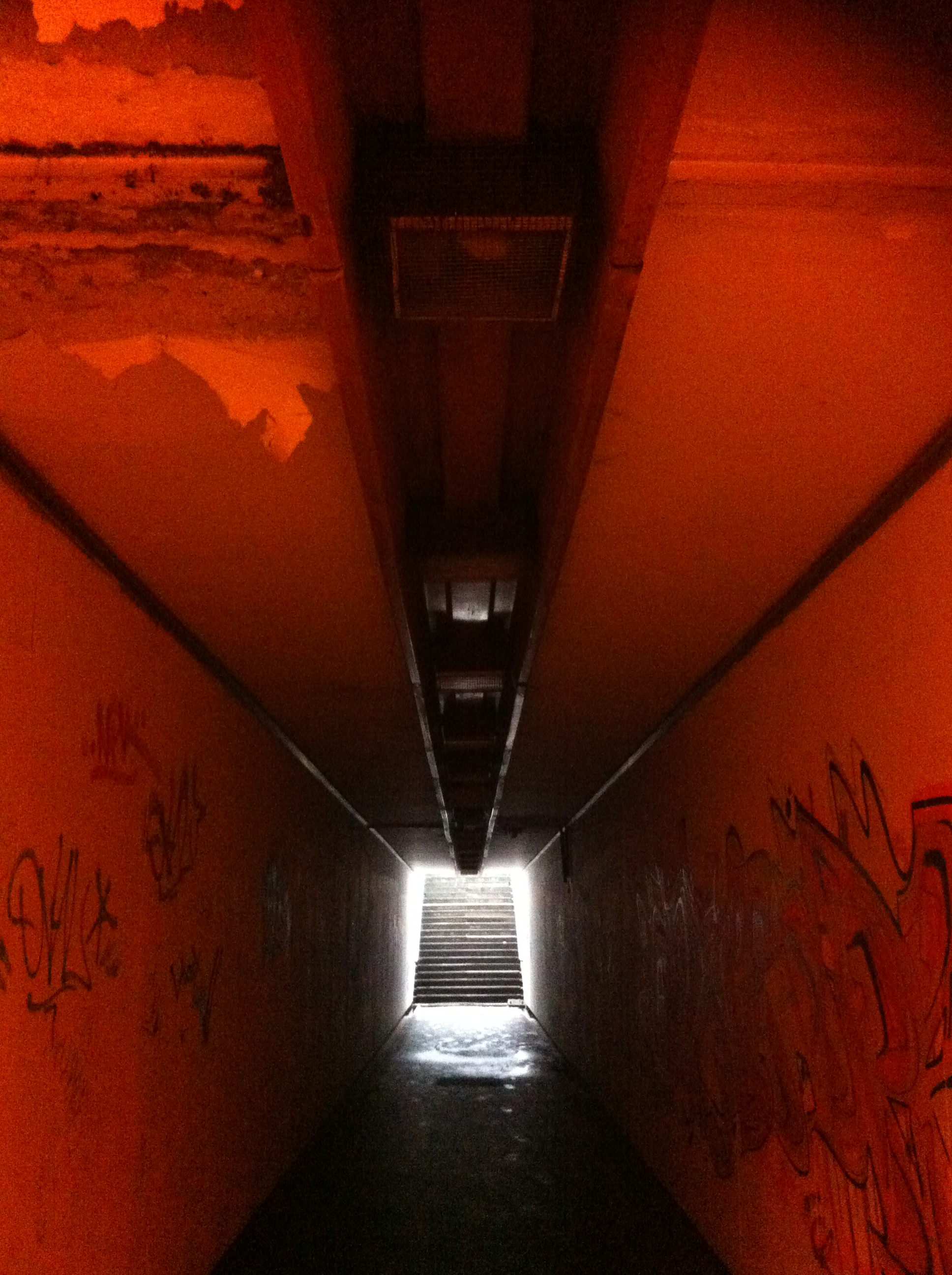 Andreja Žapčić / N1