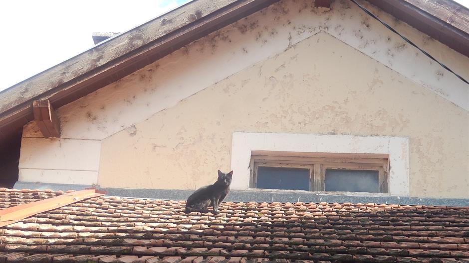 Srn2016-10-12_1526753_1