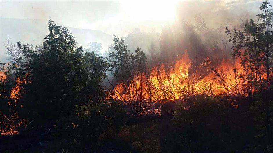 Srn2017-7-16_2018483_4