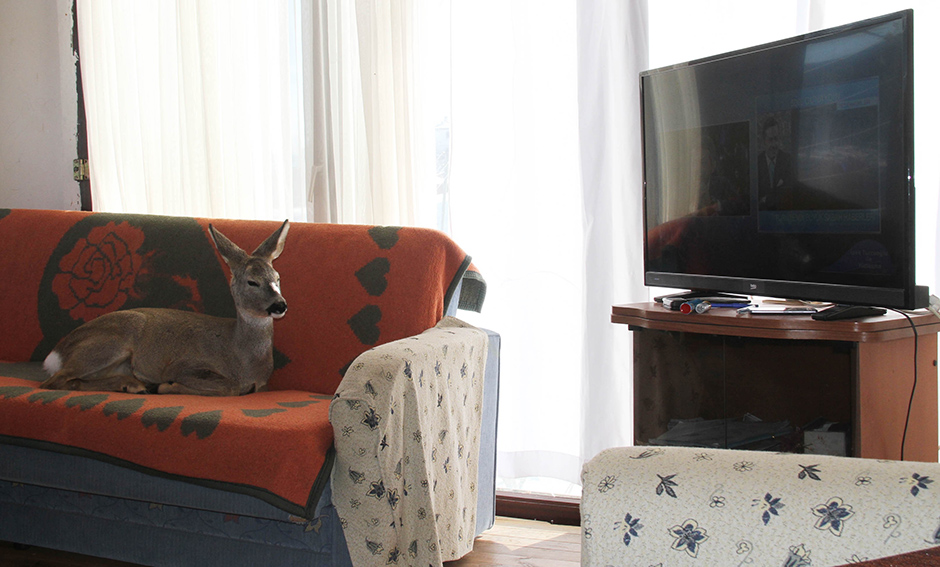 ANADOLIJA/Özgür Alantor