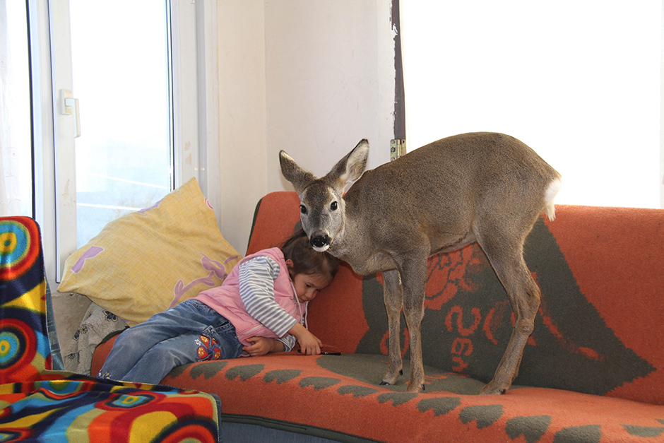 ANADOLIJA/Özgür Alantor