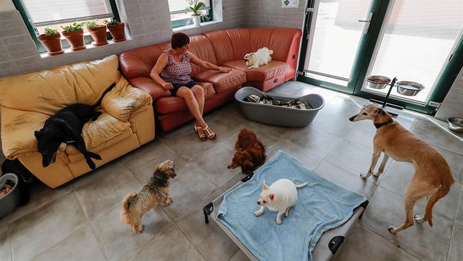 Staracki dom ya kucne ljubimce foto reuters Yves Herman (1)