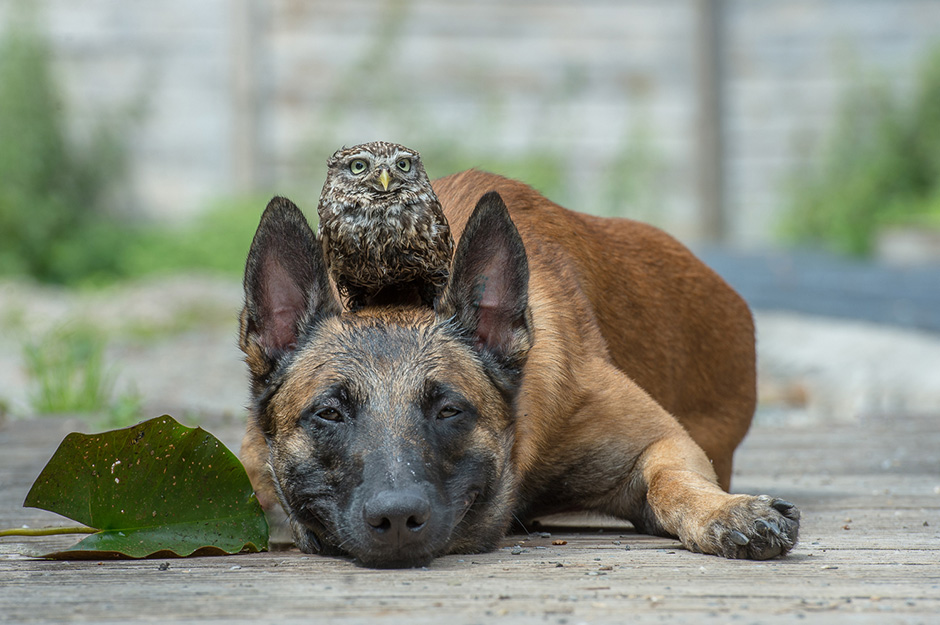 Tanja Brandt