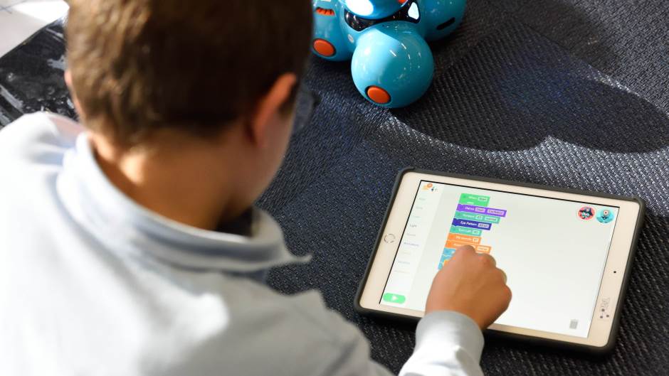 stem-t4l--PnSpCHYKsw-unsplash