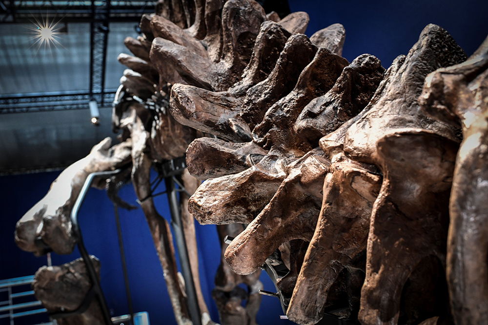 AFP/Stephane de Sakutin