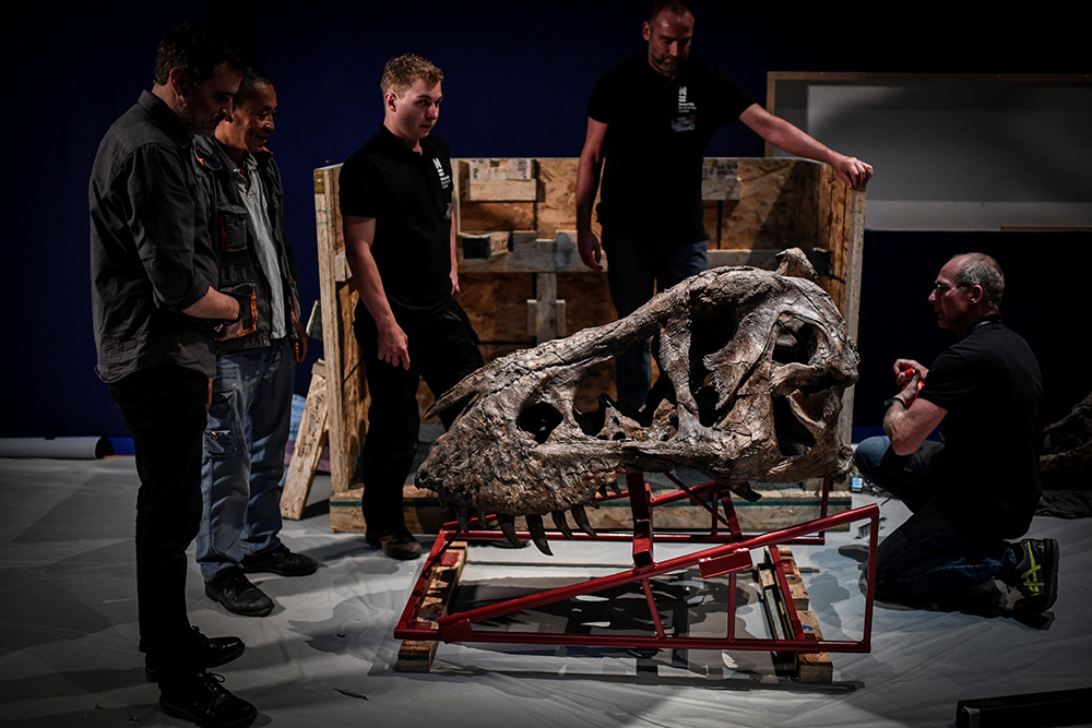 STEPHANE DE SAKUTIN  AFP (3)