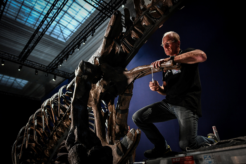 STEPHANE DE SAKUTIN  AFP (5)