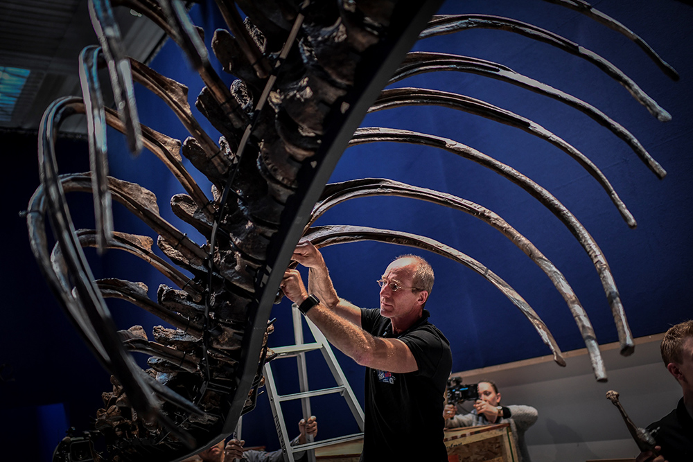 AFP/Stephane de Sakutin