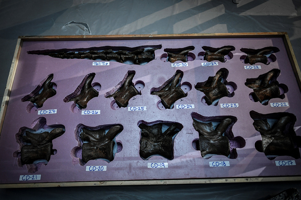 STEPHANE DE SAKUTIN  AFP (7)