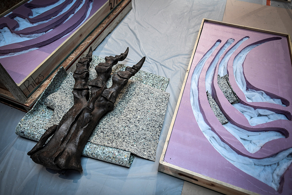 AFP/Stephane de Sakutin