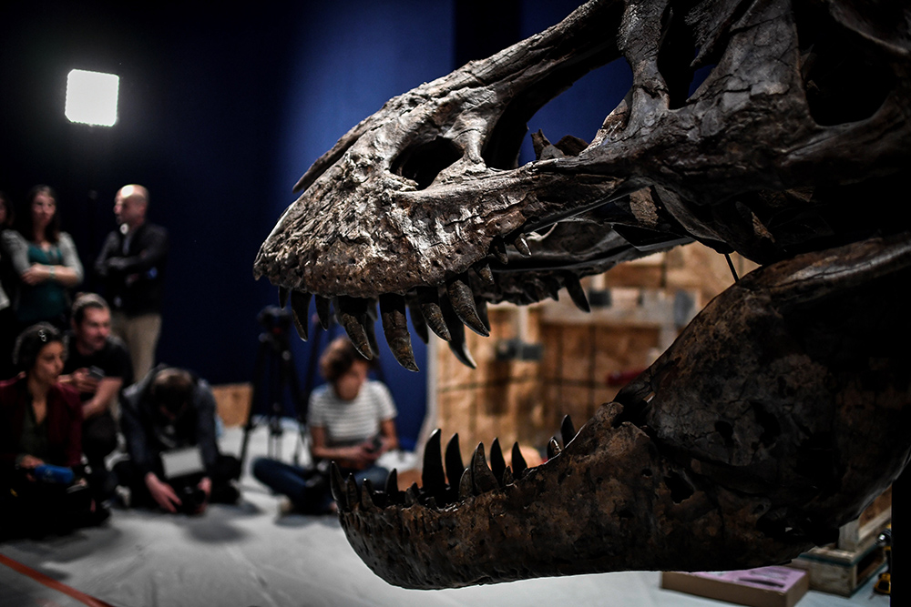 AFP/Stephane de Sakutin