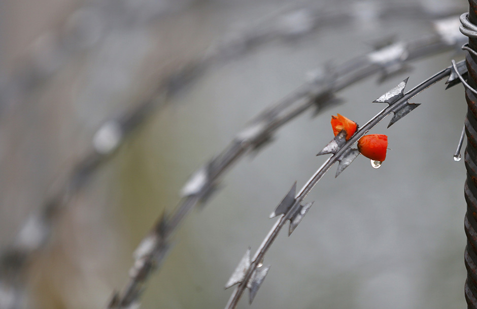 REUTERS/Alkis Konstantinidis