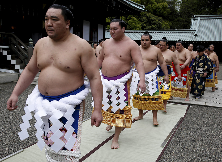 sumo (2)