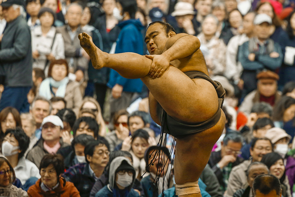 sumo (6)