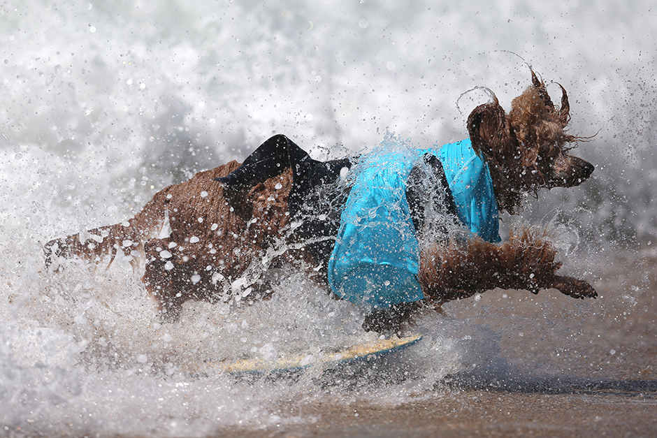 REUTERS/Lucy Nicholson