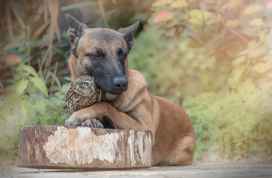 Tanja Brandt