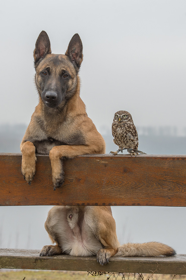 Tanja Brandt