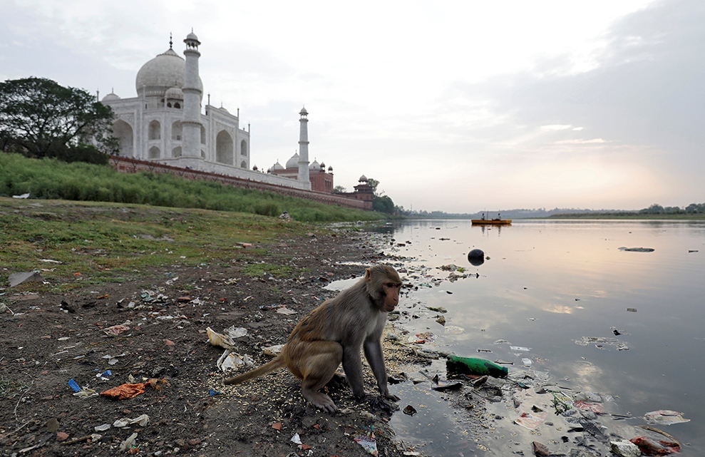 Taj Mahal foto REUTERS Saumya Khandelwal (6)
