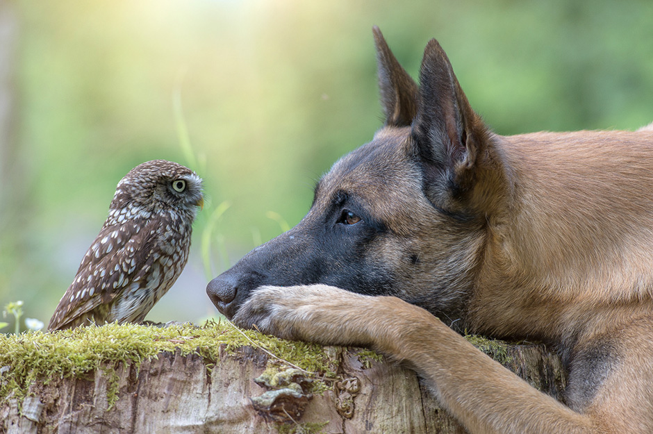 Tanja Brandt