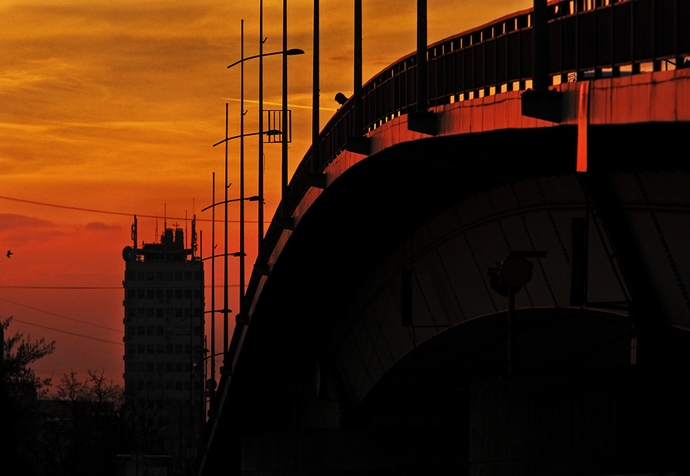 Tan2016-12-28_101250611_9