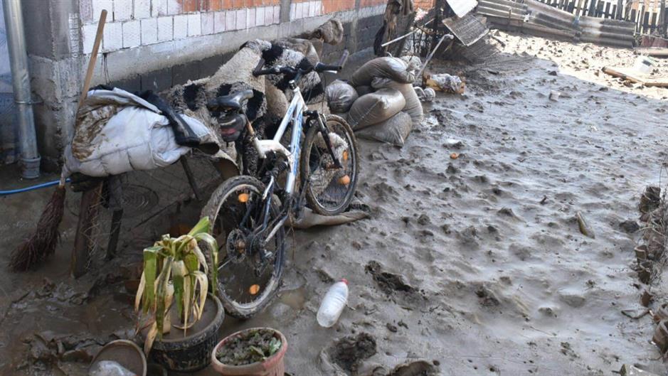 Tan2016-3-8_19348161_4