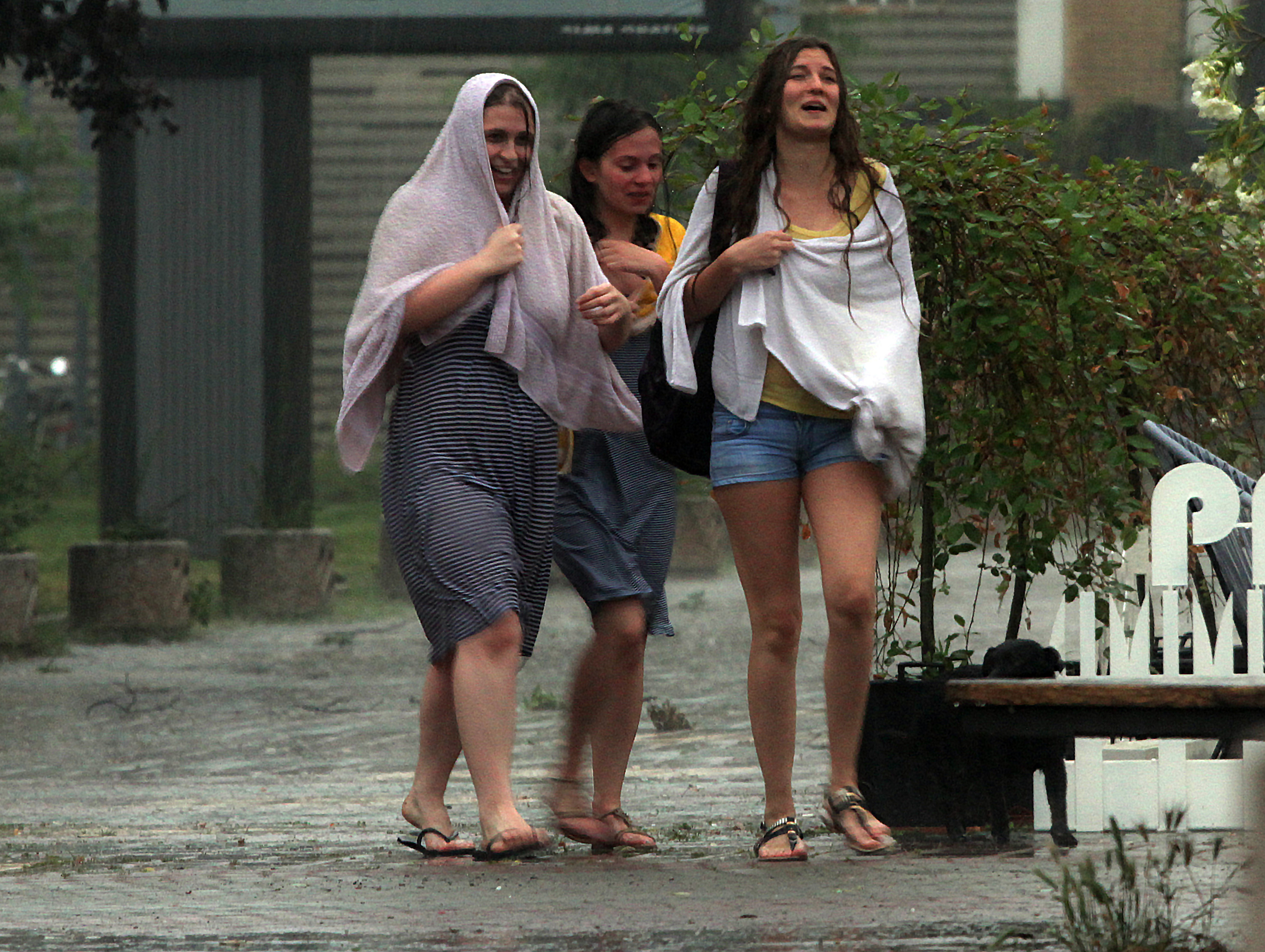 Tan2016-6-27_20427632_4