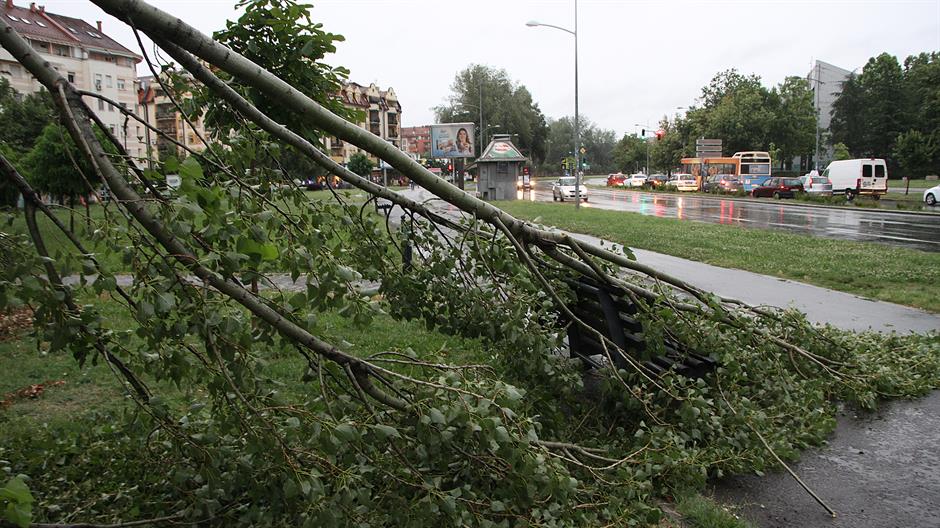 Tan2016-6-27_20444822_7