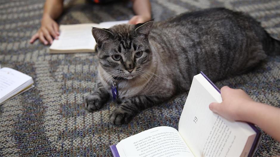 Tan2016-7-1_84120900_1