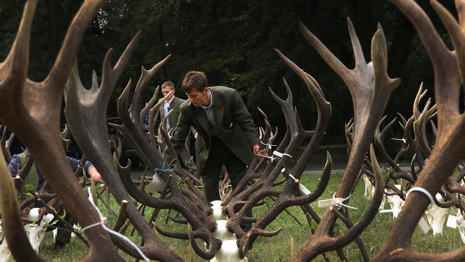 Tan2016-9-22_182745689_1