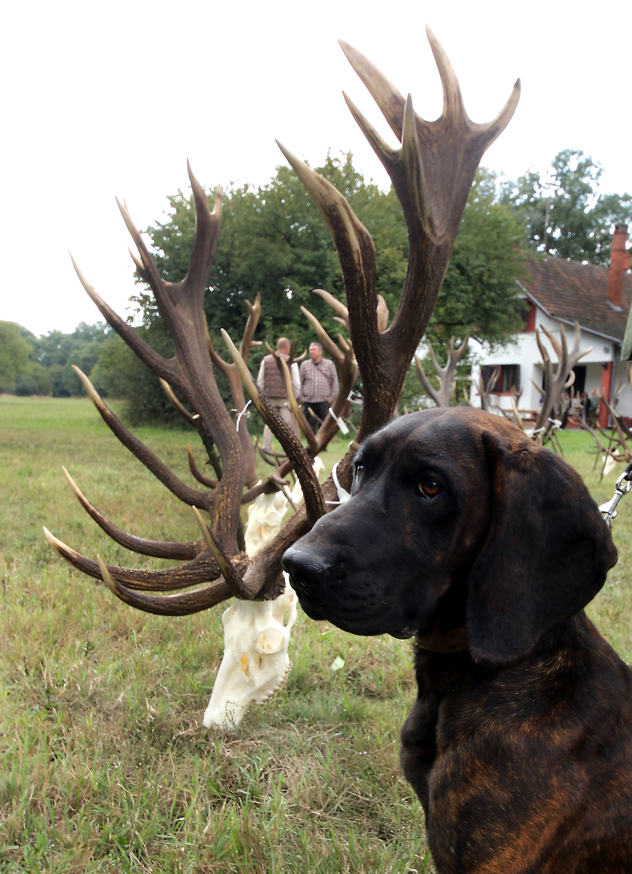 Tan2016-9-22_182748716_2