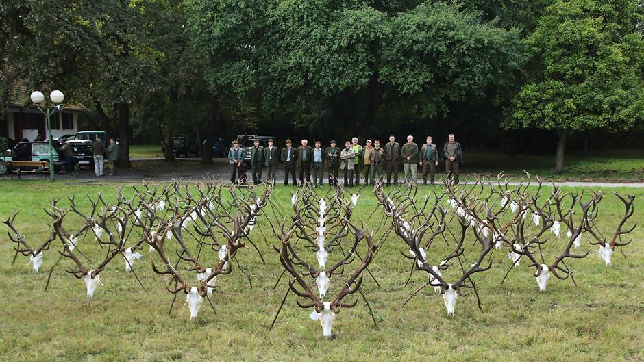 Tan2016-9-22_18285591_6