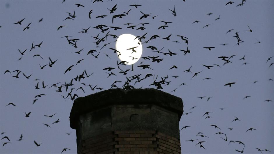 Tan2016-9-28_5940312_3