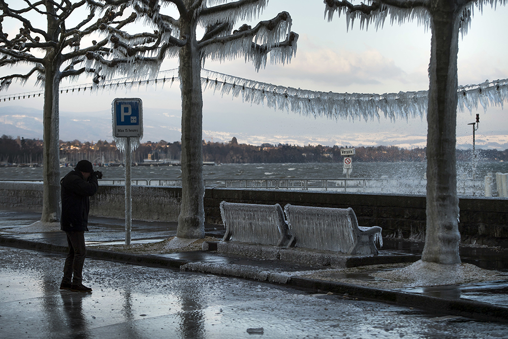 Tan2017-1-17_16505174_2