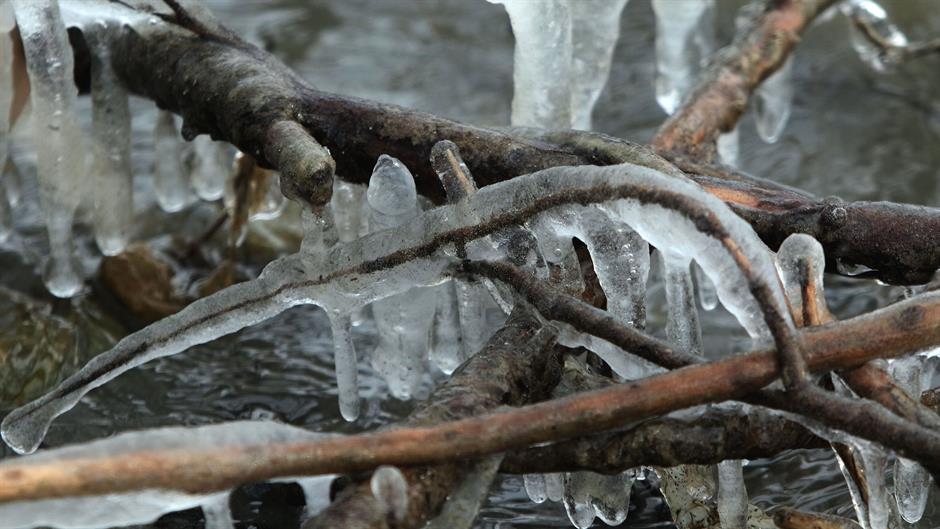 Tan2017-1-6_145114560_0