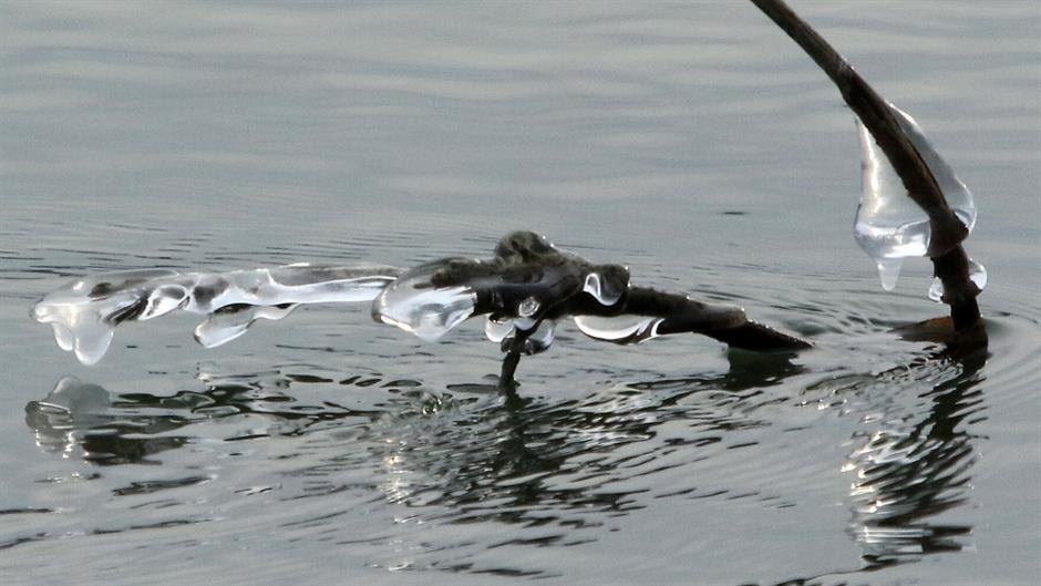 Tan2017-1-6_145115834_1