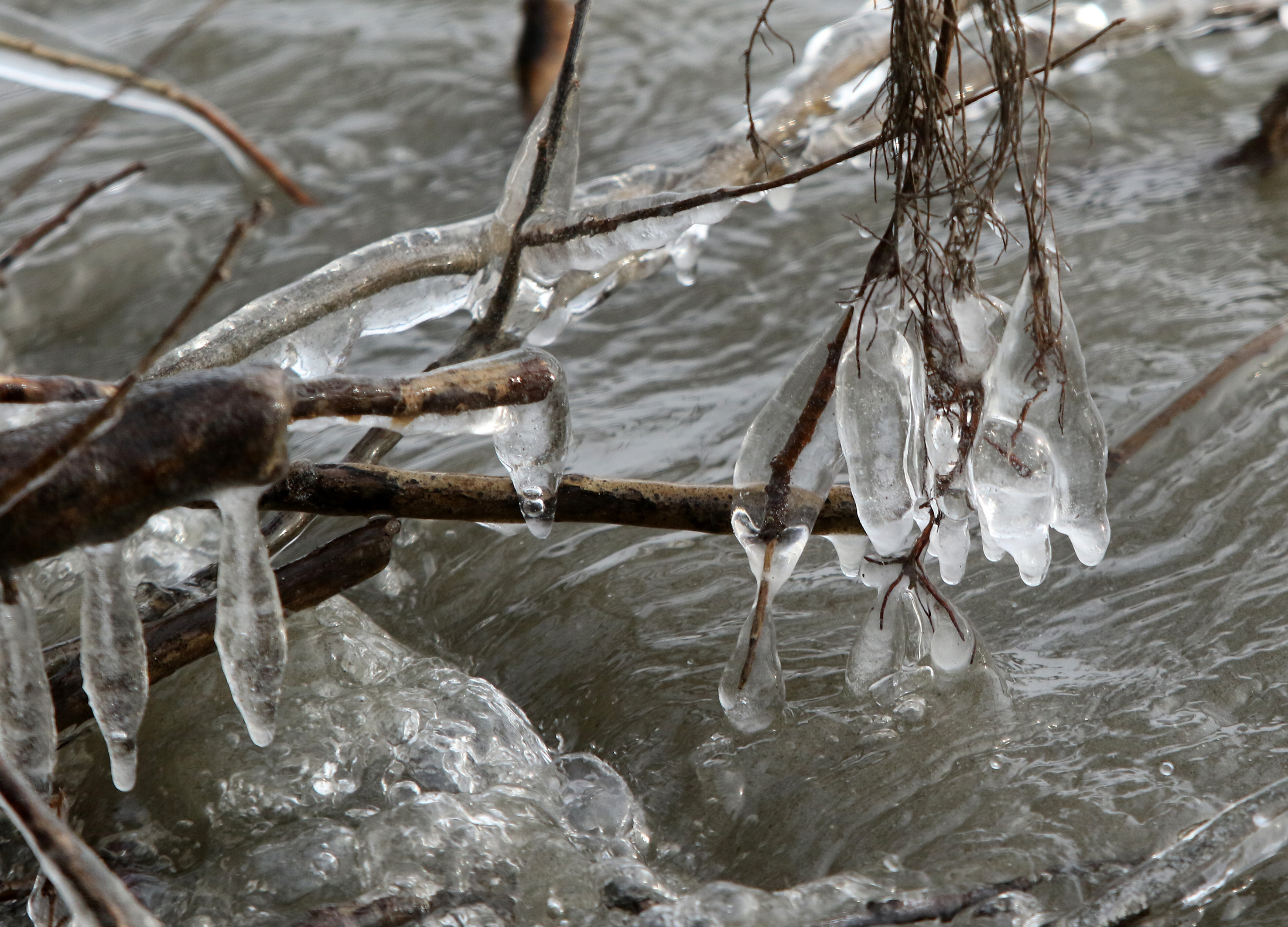 Tan2017-1-6_14512250_5(1)