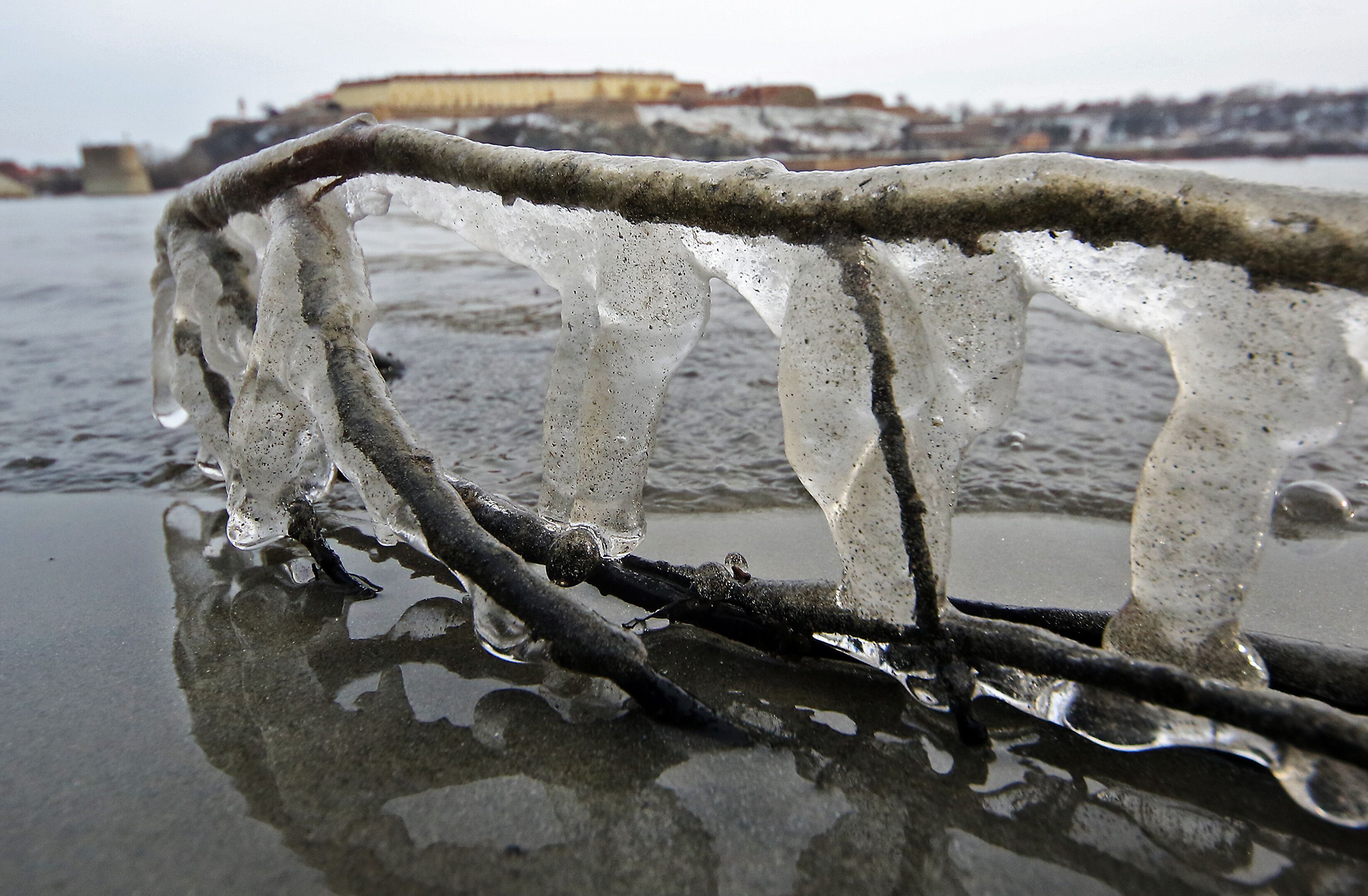 Tan2017-1-6_145127119_7