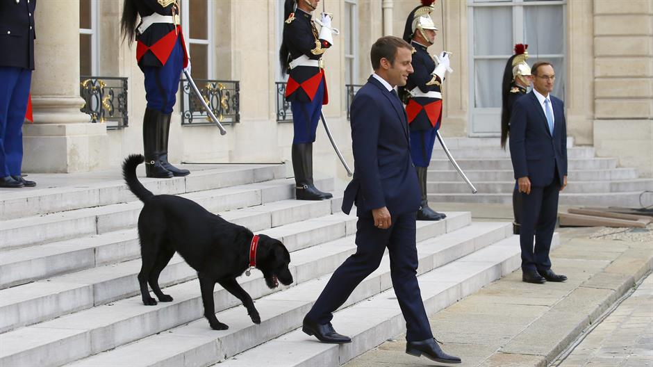 Tan2017-10-23_12594095_0