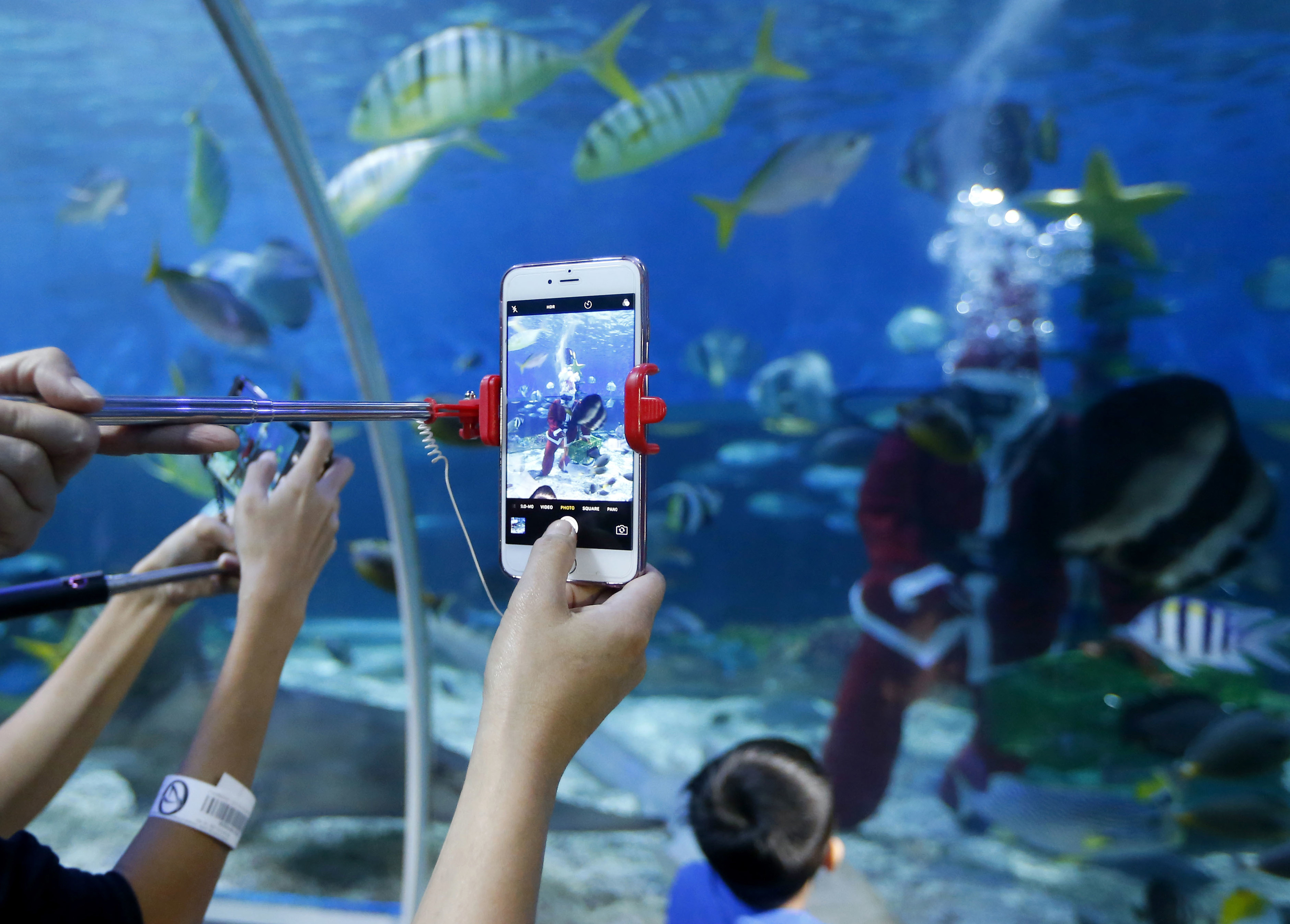 Tan2017-12-15_6714589_0